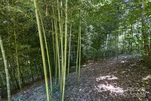 117 Old Dairy Dr, Leicester, NC 28748 - Photo 37