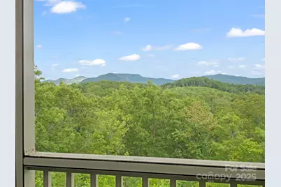 148 Red Hawk Knoll #12, Lake Lure, NC 28746 - Photo 11
