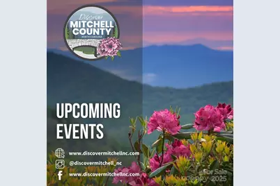 1294 Cane Creek Road, Bakersville, NC 28705 - Photo 43