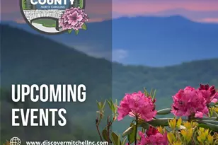 1294 Cane Creek Rd, Bakersville, NC 28705 - Photo 43