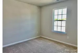 15904 Capps Rd, Charlotte, NC 28278 - Photo 13