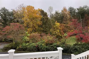 334 Case St, Columbus, NC 28722 - Photo 3