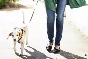 9524 Teamwork St NW, Concord, NC 28027 - Photo 19