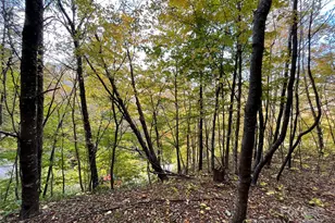 96 Chestnut Ln, Mars Hill, NC 28754 - Photo 11