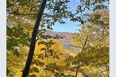 96 Chestnut Lane #96, Mars Hill, NC 28754 - Photo 5