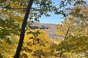 96 Chestnut Ln, Mars Hill, NC 28754 - Photo 5