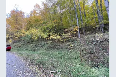 96 Chestnut Lane #96, Mars Hill, NC 28754 - Photo 3