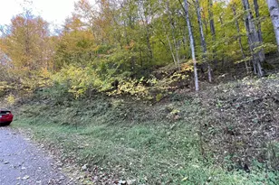 96 Chestnut Ln, Mars Hill, NC 28754 - Photo 3