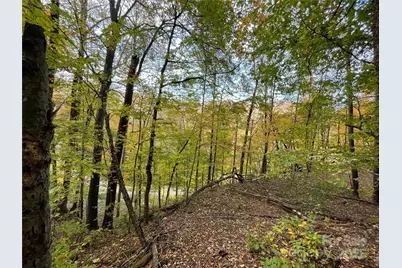 96 Chestnut Lane #96, Mars Hill, NC 28754 - Photo 7