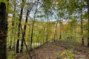 96 Chestnut Ln, Mars Hill, NC 28754 - Photo 7