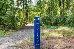 3110 Finchborough Ct, Charlotte, NC 28269 - Photo 9