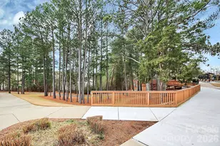 911 Lily Magnolia Ct, Fort Mill, SC 29707 - Photo 45