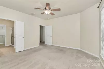 911 Lily Magnolia Court, Fort Mill, SC 29707 - Photo 19