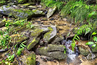 349 Quarry Trail, Old Fort, NC 28762 - Photo 39