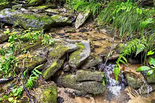 349 Quarry Trail, Old Fort, NC 28762 - Photo 39