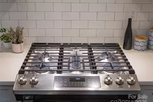 60 Dorchester Ave, Asheville, NC 28806 - Photo 27