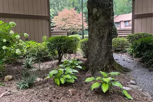 37 George Cir, Maggie Valley, NC 28751 - Photo 29