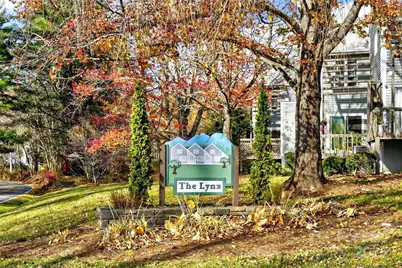 3B Lynx Drive, Black Mountain, NC 28711 - Photo 35