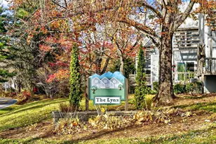 3B Lynx Dr, Black Mountain, NC 28711 - Photo 35