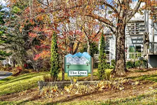 3B Lynx Dr, Black Mountain, NC 28711 - Photo 35