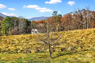 3B Lynx Dr, Black Mountain, NC 28711 - Photo 31