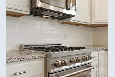 1628 Spring Blossom Trail, Fort Mill, SC 29708 - Photo 11