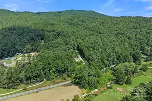 35 Dupont Estates Dr, Hendersonville, NC 28739 - Photo 43