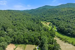 35 Dupont Estates Dr, Hendersonville, NC 28739 - Photo 41