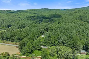 35 Dupont Estates Dr, Hendersonville, NC 28739 - Photo 37