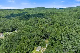 35 Dupont Estates Dr, Hendersonville, NC 28739 - Photo 35