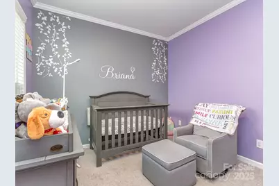 9332 Miami Bluff Drive, Huntersville, NC 28078 - Photo 25