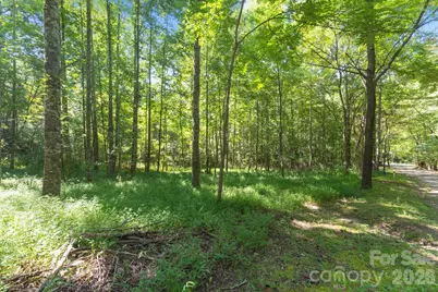 80 Breezewood Drive, Bryson City, NC 28713 - Photo 3