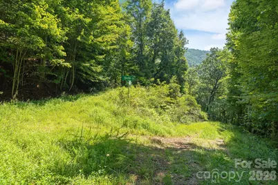80 Breezewood Drive, Bryson City, NC 28713 - Photo 29
