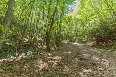 80 Breezewood Drive, Bryson City, NC 28713 - Photo 43