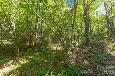 80 Breezewood Drive, Bryson City, NC 28713 - Photo 23