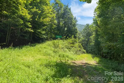 80 Breezewood Drive, Bryson City, NC 28713 - Photo 27