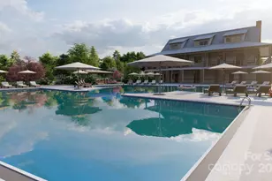 1039 Lookout Shls Dr, Fort Mill, SC 29715 - Photo 19