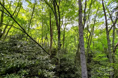 99999 Yates Avenue, Black Mountain, NC 28711 - Photo 7