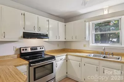 264 Cashdon Drive, Mills River, NC 28759 - Photo 19