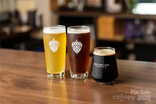 6009 Pivot Ct, Charlotte, NC 28205 - Photo 15