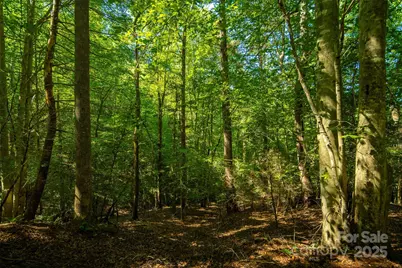 Tbd Winklers Way Road, Lenoir, NC 28645 - Photo 33