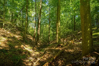 Tbd Winklers Way Road, Lenoir, NC 28645 - Photo 37