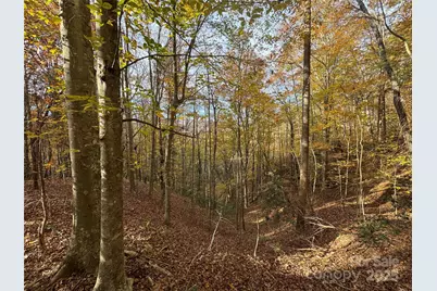 Tbd Winklers Way Road, Lenoir, NC 28645 - Photo 5