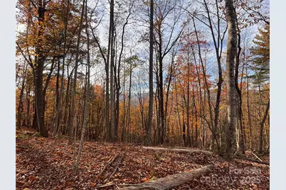 Tbd Winklers Way Road, Lenoir, NC 28645 - Photo 13