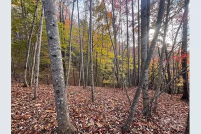 Tbd Winklers Way Road, Lenoir, NC 28645 - Photo 19