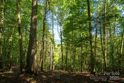 Tbd Winklers Way Road, Lenoir, NC 28645 - Photo 25