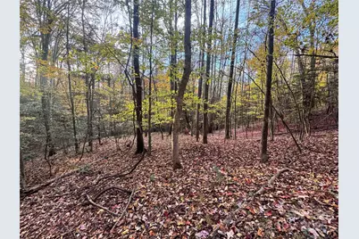 Tbd Winklers Way Road, Lenoir, NC 28645 - Photo 21