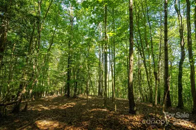 Tbd Winklers Way Road, Lenoir, NC 28645 - Photo 31