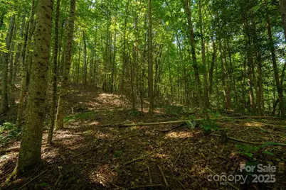 Tbd Winklers Way Road, Lenoir, NC 28645 - Photo 39