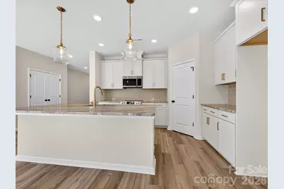 233 Alluvium Lane, Waxhaw, NC 28173 - Photo 5